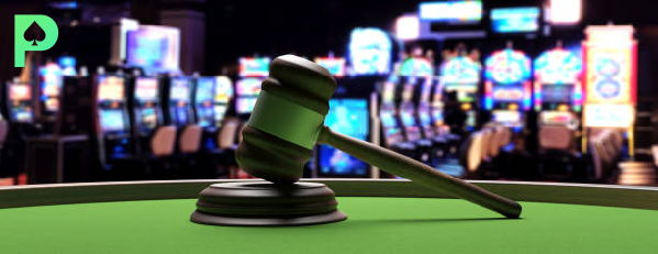pino casino